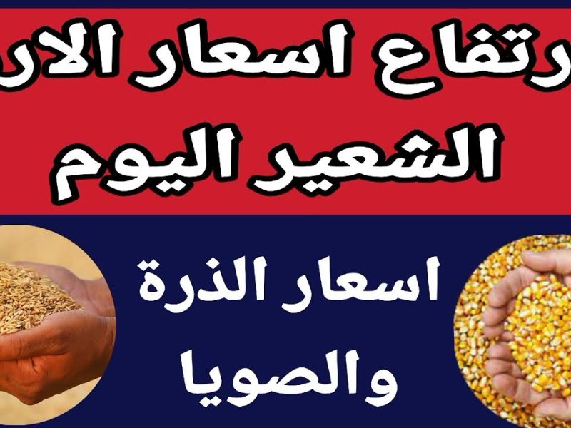 تأرجح بسيط في السعر .. سعر الأرز الشعير اليوم الثلاثاء 29/4/2025 في السوق