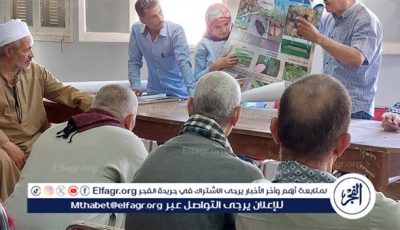 محافظ أسيوط يعلن عن انطلاق فاعليات اليوم الأول للحملة التوعوية لدودة الحشد الخريفية