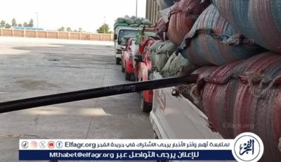 330 ألف طن قمح بصوامع المنيا في موسم التوريد 2025