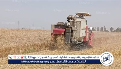 الإرشاد الزراعي ينظم فعالية لدعم توريد القمح بالقنطرة شرق بالإسماعيلية