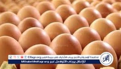 أسعار طبق البيض اليوم السبت 17-5-2025 في قنا