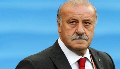 ديل بوسكي يشيد بعمل أنشيلوتي في ريال مدريد